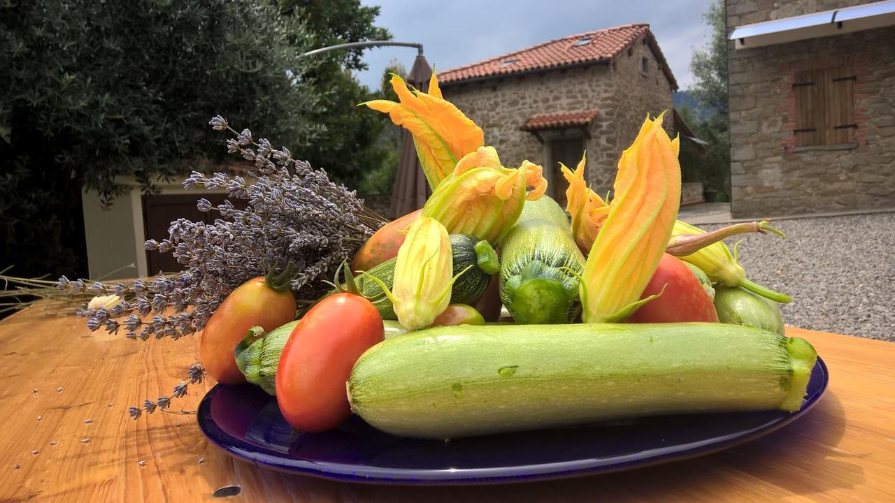 Agripodere Il Falco Pontremoli Εξωτερικό φωτογραφία